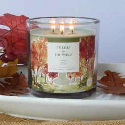 Sonoma Goods For Life® Be Leaf In Yourself 14-oz. Candle Jar -Sonoma Goods For Life Shop unnamed file 8004