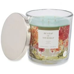 Sonoma Goods For Life® Be Leaf In Yourself 14-oz. Candle Jar -Sonoma Goods For Life Shop unnamed file 8006