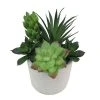 Sonoma Goods For Life® Faux Succulents & Pot -Sonoma Goods For Life Shop unnamed file 8390