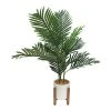 Sonoma Goods For Life® Faux Palm In Pot With Stand -Sonoma Goods For Life Shop unnamed file 8833