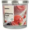 Sonoma Goods For Life® Wildberry Frosé 14-oz. Candle Jar -Sonoma Goods For Life Shop unnamed file 9032