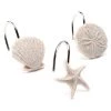 Sonoma Goods For Life® Shoreline Shell 12-pk. Shower Curtain Hooks -Sonoma Goods For Life Shop unnamed file 9152