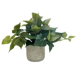 Sonoma Goods For Life® Artificial Trailing Ivy Plant Table Decor