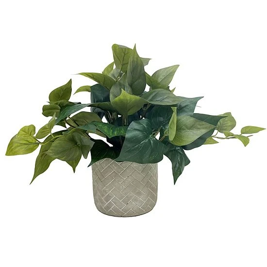 Sonoma Goods For Life® Artificial Trailing Ivy Plant Table Decor 3 Sonoma Goods For Life® Artificial Trailing Ivy Plant Table Decor
