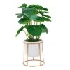Sonoma Goods For Life® Friendship Plant & Ceramic Pot With Gold Metal Stand -Sonoma Goods For Life Shop unnamed file 9295