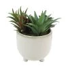 Sonoma Goods For Life® Faux Succulents In Ceramic Glazed Pot -Sonoma Goods For Life Shop unnamed file 9301