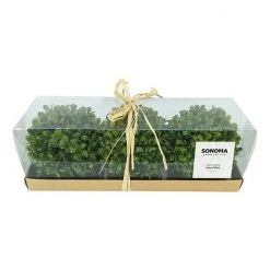 Sonoma Goods For Life® Artificial Boxwood Ball Vase Filler 3-piece Set -Sonoma Goods For Life Shop unnamed file 9468