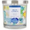 Sonoma Goods For Life® Blue Citron 14-oz. Candle Jar -Sonoma Goods For Life Shop unnamed file 9896