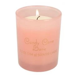 Sonoma Goods For Life® 7.2-oz. Candy Cane Shortbread Single Wick Candle Jar -Sonoma Goods For Life Shop unnamed file 9902